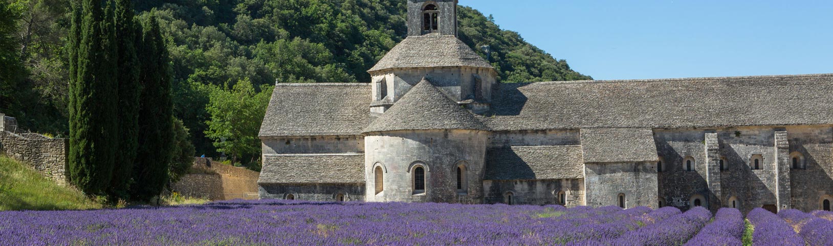 head-abbaye-senanque