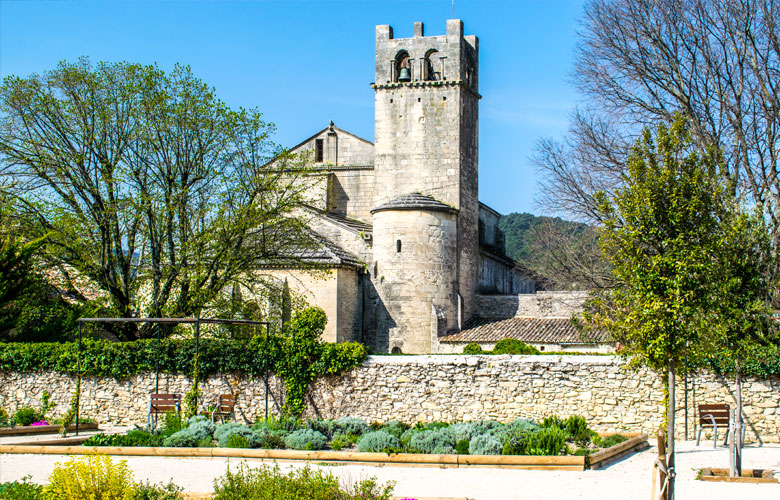 tour-guide-visit-provence-vaison-la-romaine